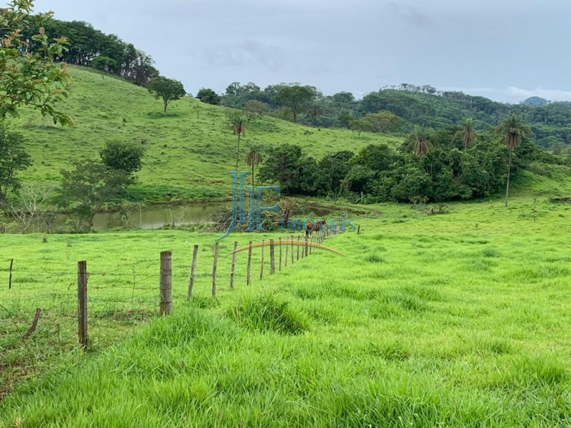 Sítio - Centro - Cajuru