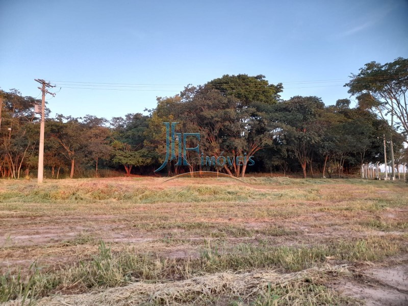 Sítio - Centro - Cajuru