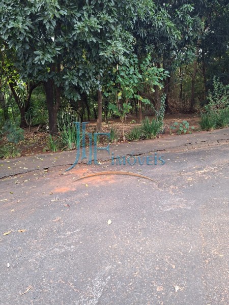 JF Imóveis | Imobiliária em Ribeirão Preto | Terreno - Vista Alegre - Ribeirão Preto